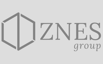 ZNES Group