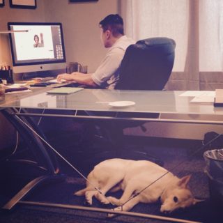 Hang in there Ulrick, the work day is almost over. #DogDays #Productivity #CreativeLife #OrlandoCreatives